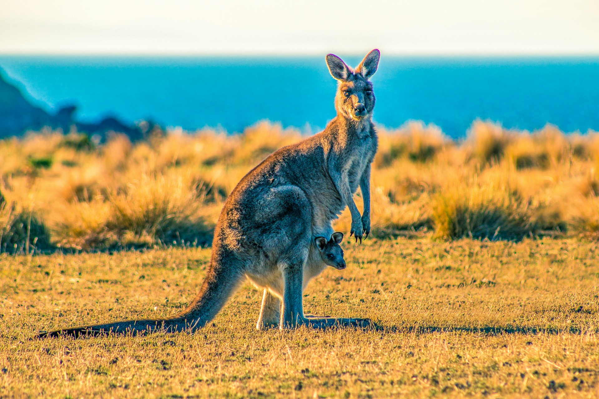 Les destinations australiennes pour passer des moments uniques à deux